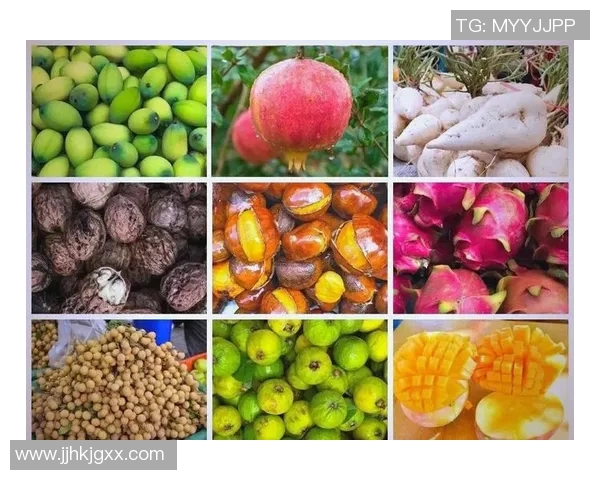 打造健康美味的果蔬世界，探索五彩斑斓的营养与美味之旅